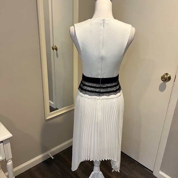 BCBGMaxAzria "Adelyn" Off White Sleeveless Pleated Skirt Lace Trim Dress, Size 4 - Picture 11 of 16